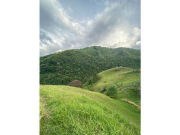 Venta Finca Calarca Quindio COD: 6229964