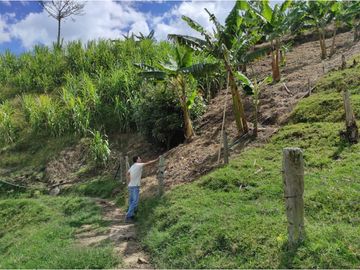 Venta Finca Calarca Quindio COD: 6229964