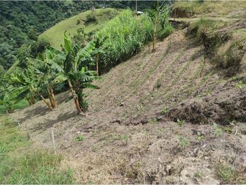 Venta Finca Calarca Quindio COD: 6229964