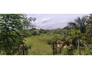 Se Vende Finca de 6.7 HAS con Hermosa Casa Campestre