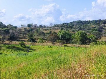 Se Vende Finca de 6.7 HAS con Hermosa Casa Campestre