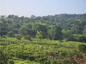 Se Vende Finca de 6.7 HAS con Hermosa Casa Campestre