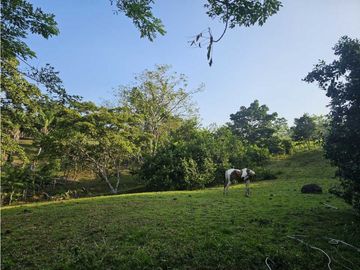 Se Vende Finca de 6.7 HAS con Hermosa Casa Campestre