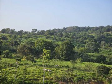 Se Vende Finca de 6.7 HAS con Hermosa Casa Campestre