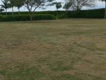 lote en venta en la torre. Cod V14257