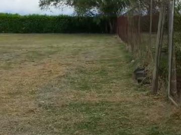 lote en venta en la torre. Cod V14257