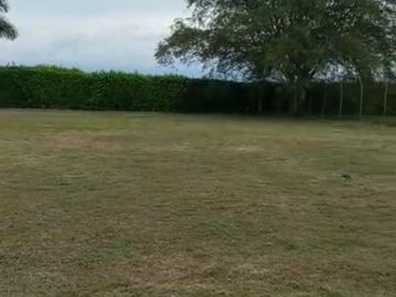 lote en venta en la torre. Cod V14257