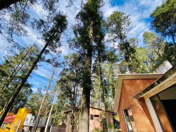 Cabaña Acogedora en el Bosque: Tu Refugio Ideal y Oportunidad de Inversión