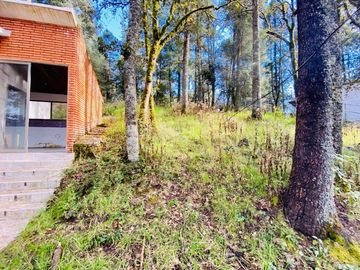 Cabaña Acogedora en el Bosque: Tu Refugio Ideal y Oportunidad de Inversión