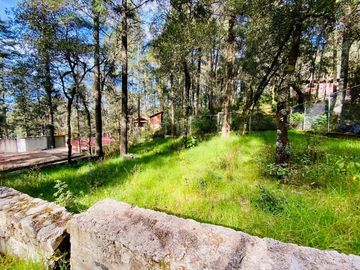 Cabaña Acogedora en el Bosque: Tu Refugio Ideal y Oportunidad de Inversión
