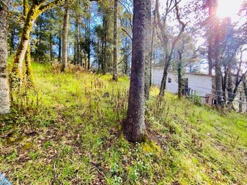 Cabaña Acogedora en el Bosque: Tu Refugio Ideal y Oportunidad de Inversión