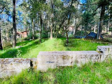 Cabaña Acogedora en el Bosque: Tu Refugio Ideal y Oportunidad de Inversión