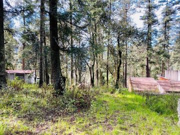 Cabaña Acogedora en el Bosque: Tu Refugio Ideal y Oportunidad de Inversión