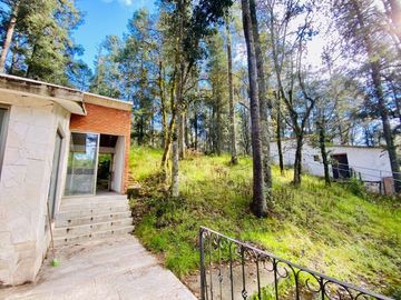 Cabaña Acogedora en el Bosque: Tu Refugio Ideal y Oportunidad de Inversión