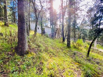 Cabaña Acogedora en el Bosque: Tu Refugio Ideal y Oportunidad de Inversión