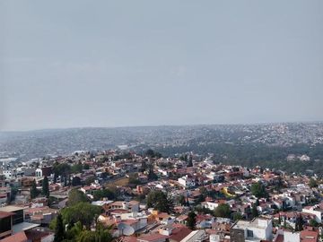 Departamento - Mayorazgos del Bosque