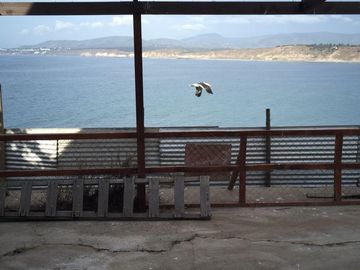 Avenida Pricipal Caleta Horcon Gran vista norte
