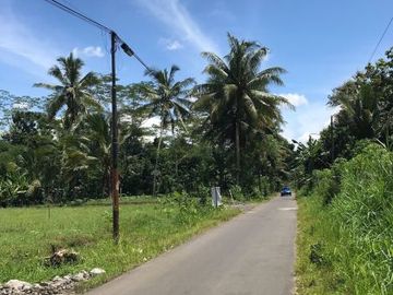 RUMAH MODERN KONSEP KLASIK MEWAH DEKAT CANDI BOROBUDUR