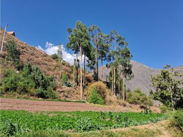 VENDO CASA DE CAMPO 3248 M2 HUAYLLABAMBA URUBAMBA CUSCO PERU