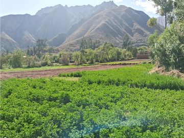 VENDO CASA DE CAMPO 3248 M2 HUAYLLABAMBA URUBAMBA CUSCO PERU