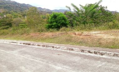 Overlooking 204 Sqm Elevated Lot for Sale near Talamban Cebu City with Mountain View