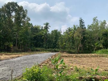 Pekarangan SHM, Area Kampus II UKDW, Cocok Bangun Kos