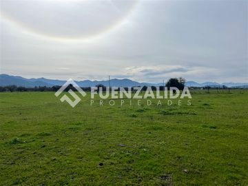 Parcela en Venta en San Vicente