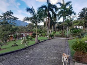 finca en venta en venecia. Cod V12509