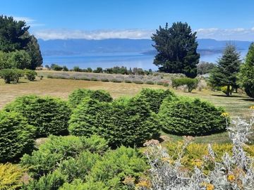 Casa con hermosa vista y acceso al Lago Ranco