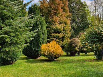 Casa con hermosa vista y acceso al Lago Ranco