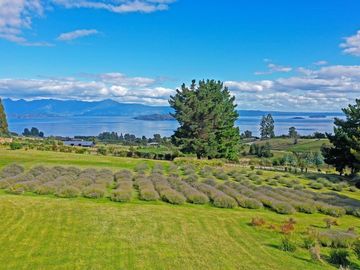 Casa con hermosa vista y acceso al Lago Ranco