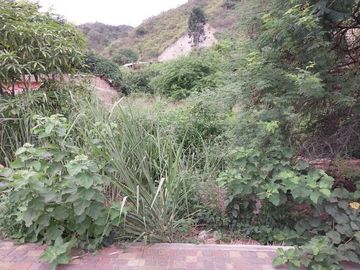 Puerto Lopez - Land: Se Vende Terreno para Desarrollar Frente al Mar en Puerto Lopez