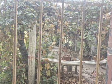 Casa en venta de 6 dorm. en calle Latorre en Santa María