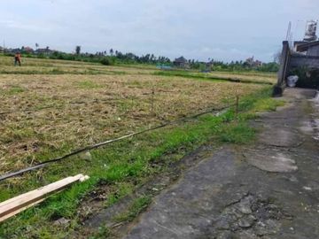DI JUAL MURAH TANA H KAPLINGAN STRATEGIS HARGA MURAH GRATIS PAJAK DAN BALIK NAMA DI DESA GUWANG