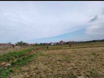 DI JUAL MURAH TANA H KAPLINGAN STRATEGIS HARGA MURAH GRATIS PAJAK DAN BALIK NAMA DI DESA GUWANG