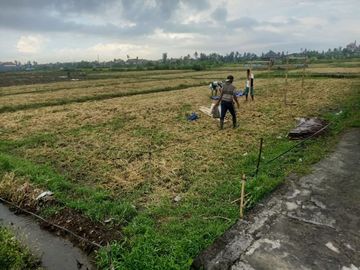 DI JUAL MURAH TANA H KAPLINGAN STRATEGIS HARGA MURAH GRATIS PAJAK DAN BALIK NAMA DI DESA GUWANG