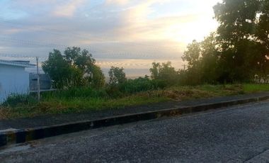 Most Affordable 150 Sqm Lot for Sale in Vista Grande Talisay Cebu City
