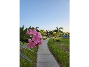 APARTAMENTO SAN CARLOS PLAYA DEL SOL 3REC 2.5B +CBE ORILLA DEL MAR