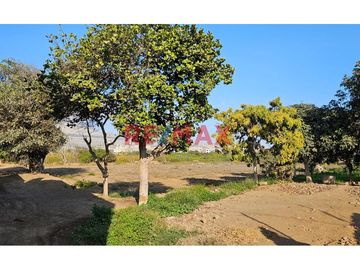 ¡🌟 Increíble Oportunidad! 
Terreno Rústico ideal para Casa de Campo 🌟
📍 Ubicación Estratégica: Ubicado en el sector Huabalito U.C. 3370B – Campiña d