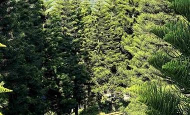 TAGAYTAY CITY LOT FOR SALE