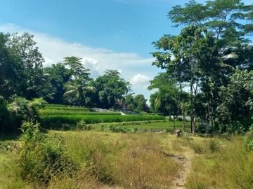Segera Miliki Tanah di Jember, Selagi Harga Promo