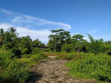 Hanya 50jt, Anda SUdah Memiliki Tanah Kavling di Jember