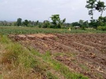 Dijual Lahan Untuk Perumahan Strategis Di Kota Batu