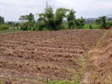 Dijual Lahan Untuk Perumahan Strategis Di Kota Batu