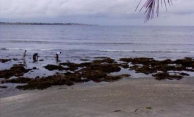 Beach House for Sale in San Fernando, La