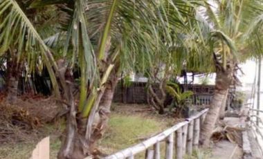 Beach House for Sale in San Fernando, La