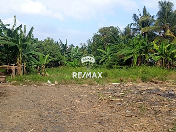 DIJUAL TANAH STRATEGIS SHM  Pakis – Banyuwangi