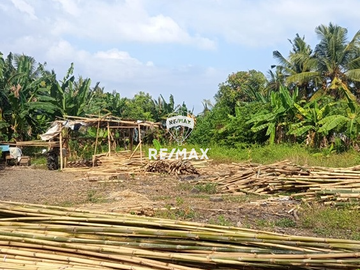 DIJUAL TANAH STRATEGIS SHM  Pakis – Banyuwangi