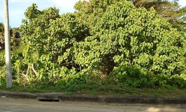 Very Affordable 129 SQM LOT for Sale in Greenwoods near Talamban Cebu City