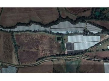 HUERTA DE ARANDANOS EN VENTA EN TZINTZUNTZAN, MICHOACAN